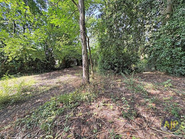 Vente terrain Challans : 65 000 € - AJP Immobilier Challans