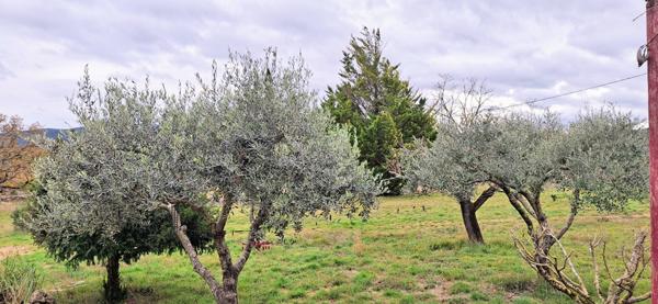 Maison 160m2 avec piscine et dépendance BEDARIEUX