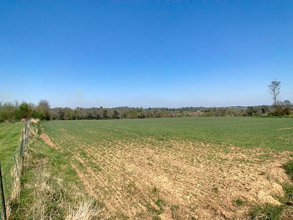 Ensemble de Hangar et garage - 13830m² de terrain - campagne de Briec