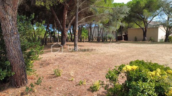 À seulement quelques minutes de Pézenas, découvrez ce beau terrain constructible de 1 872 m², situé sur la commune de Lézignan-la-Cèbe, dans un environnement agréable et recherché.

Entièrement viabilisé, clôturé et arboré, ce terrain offre un cadre idéal pour concrétiser votre projet de construction, avec une belle superficie permettant d'imaginer une maison confortable, de beaux espaces extérieurs, une piscine ou encore des dépendances selon les règles d'urbanisme en vigueur.
Les atouts du terrain

Superficie généreuse de 1 872 m²
Terrain viabilisé
Entièrement clôturé
Terrain déjà arboré, offrant un environnement verdoyant
Belle possibilité d'aménagement extérieur ou de diviser en deux parcelles
Commerces et services médicaux à proximité

Une situation particulièrement pratique

Idéalement situé, vous profitez d'un accès rapide aux principaux pôles du secteur :

Pézenas à environ 5 minutes
Accès autoroutier à environ 5 minutes
Béziers à environ 20 minutes
Cap d'Agde et littoral à environ 20 minutes

Un emplacement intéressant pour profiter à la fois du calme, de la proximité des services et d'un accès rapide aux grands axes et aux plages méditerranéennes.

Une belle parcelle, déjà viabilisée et aménagée, à découvrir pour votre futur projet de construction dans l'Hérault.

Pour davantage de renseignements, connaître les possibilités de construction ou organiser une visite, contactez-moi.