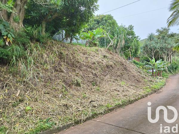 Terrain à vendre 495 m² L'Étang-Salé