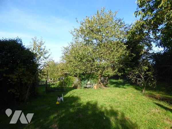 MAISON DE CAMPAGNE - LE PIN