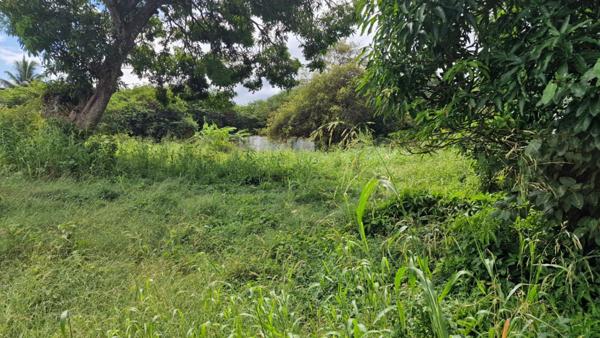 Beau terrain plat dans un secteur très calme au prix de 87000  Petit Canal Guadeloupe