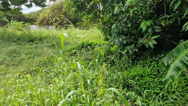 Beau terrain plat dans un secteur très calme au prix de 87000  Petit Canal Guadeloupe