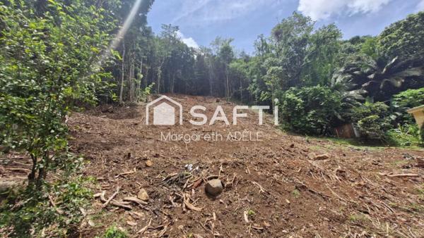 Grand terrain de 1301m2 pour votre projet en accord avec la nature