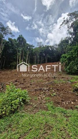 Grand terrain de 1301m2 pour votre projet en accord avec la nature