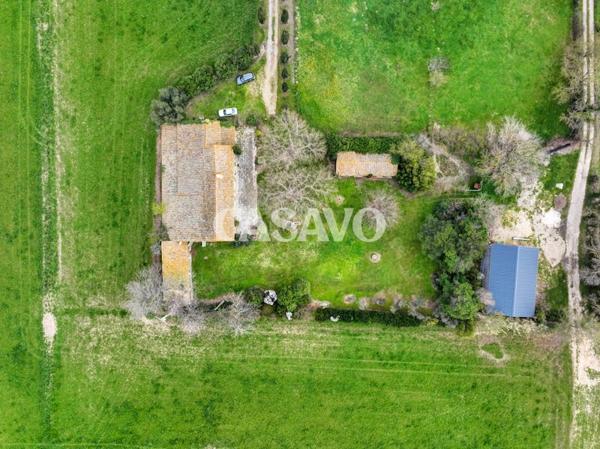 Vente Maison 8 pièces de 435m² - 13310 Saint-Martin-de-Crau