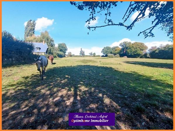 Magnifique propriété avec 2 maisons et piscine sur 3 hectares à 20 min de Bernay