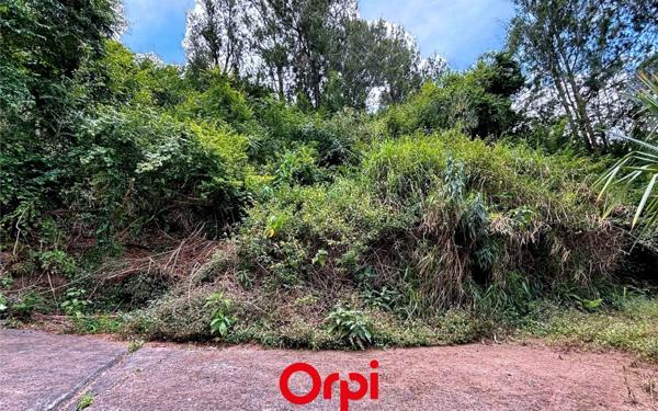 Terrain à vendre    Salazie