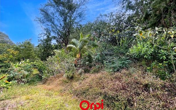 Terrain à vendre    Salazie