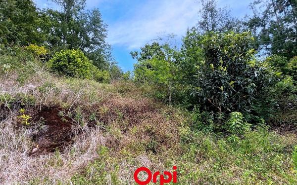 Terrain à vendre    Salazie