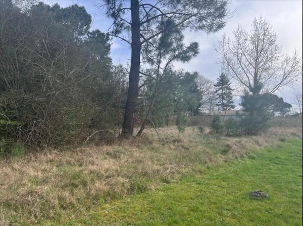 Terrain à vendre |  Étauliers |  1400 m²