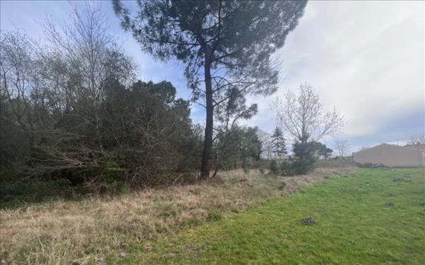 Terrain à vendre |  Étauliers |  1400 m²