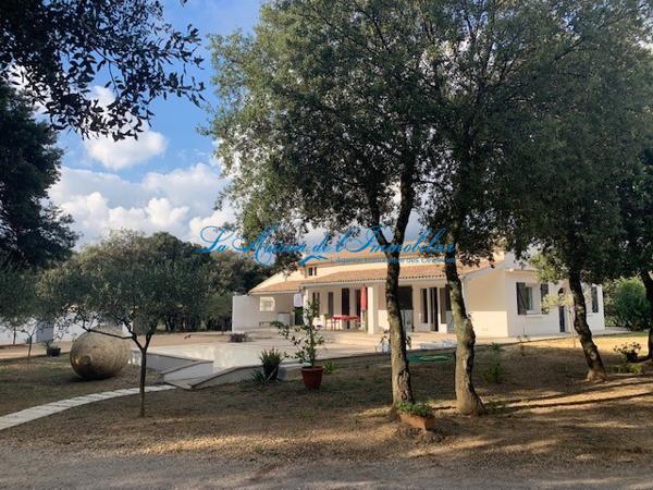 Tornac, au calme, belle propriété de 3 logements sur 5000 m2 de terrain avec piscine.