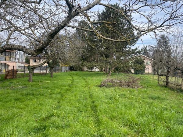 Crêches-sur-Saône (71680) Villa