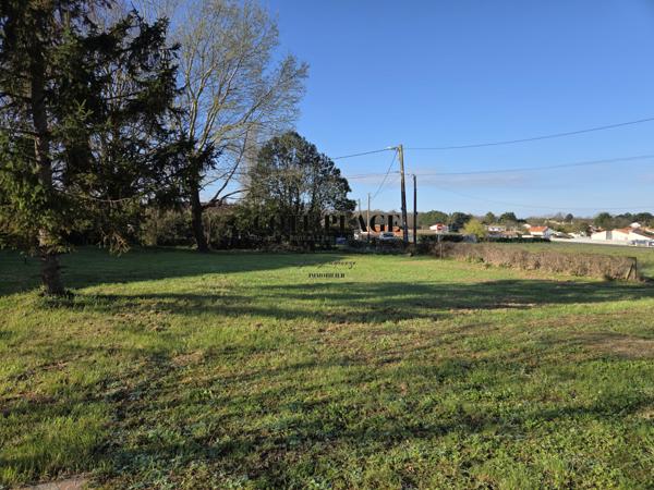 Saint-Sulpice-de-Royan (17200) TERRAIN A BATIR - 800 M2 - St SULPICE DE ROYAN - 192 600€ HAI
