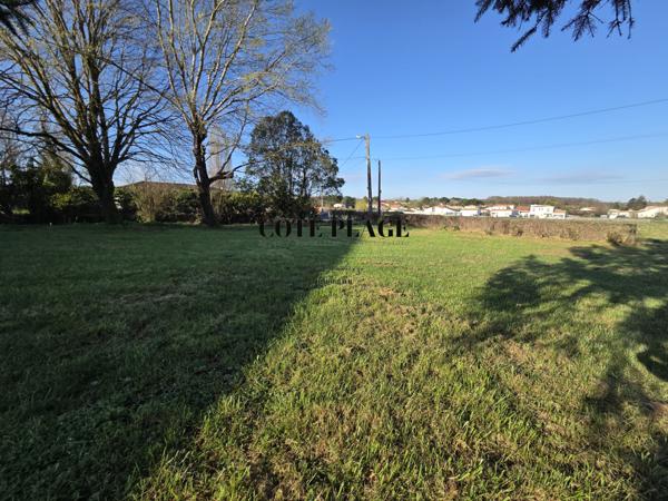 Saint-Sulpice-de-Royan (17200) TERRAIN A BATIR - 800 M2 - St SULPICE DE ROYAN - 192 600€ HAI