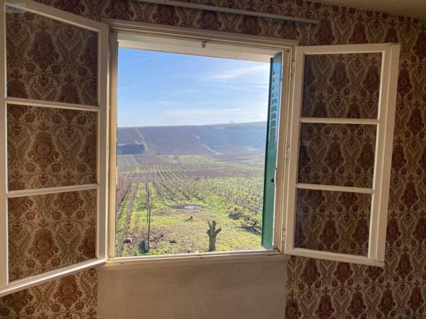 Maison à vendre à Oger dans la Marne (51190), ref : 51029-491