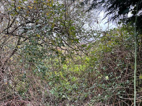 Achat terrain Les Barils - 3000 m² - 45 000 €