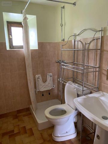 Maison à vendre à Châtillon-sur-Indre dans l'Indre (36700), ref : 1050807