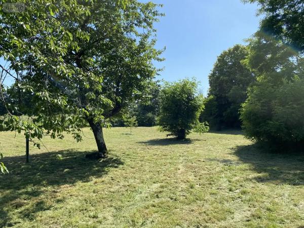 Achat - Terrain de loisirs, bois, étangs Juvardeil 49330 1752 m 2