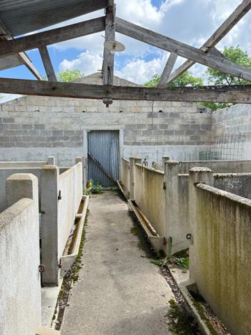 En exclusivite ! Maison de village, 300m², 10 chambres avec dépendances sur 3489m² de terrain 199 900 €