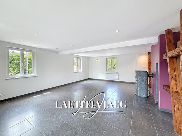 Gerstheim (67150) COMBLES AMÉNAGEABLES - ENTRÉE INDÉPENDANTE - RUE CALME - FRAÎCHEMENT REPEINT