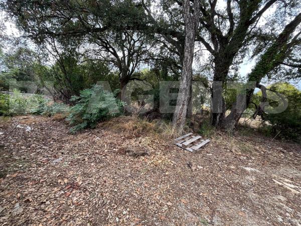 TERRAIN 1360 M² - PRUNELLI DI FIUMORBU