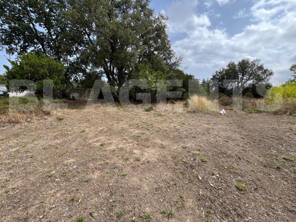 TERRAIN 1360 M² - PRUNELLI DI FIUMORBU