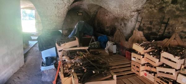 Maison de montagne avec dépendances au Villaret de Doucy (73260)