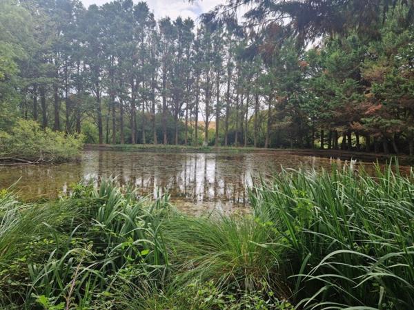 Terrain à PIPRIAC, 35550 - 6760m²