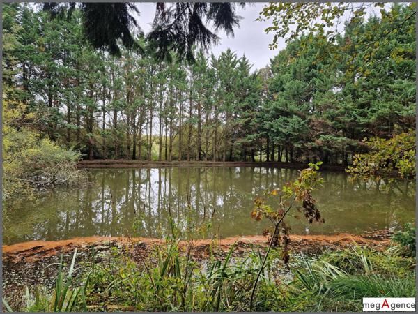 Terrain à PIPRIAC, 35550 - 6760m²