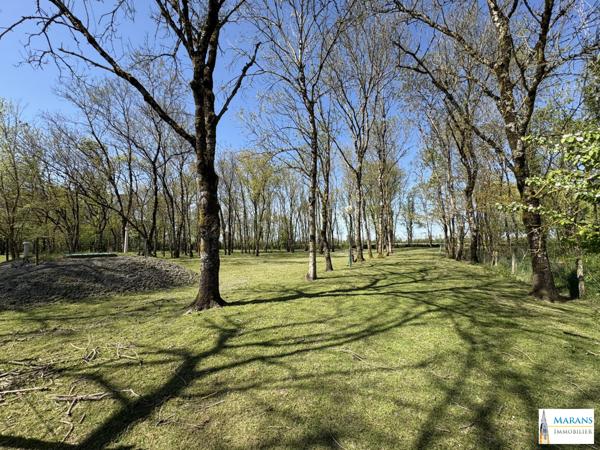 Maison 3 pièces – Jardin, garage– L'Île-d'Elle