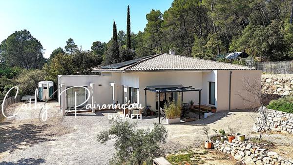 Élégance contemporaine de plain-pied et vue dominante dans un cadre verdoyant et préservé