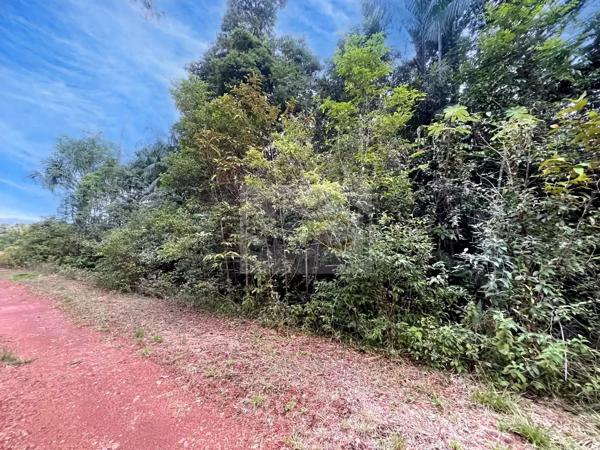 OPPORTUNITÉ RARE – TERRAIN PIEDS DANS L'EAU SECTEUR COMTÉ