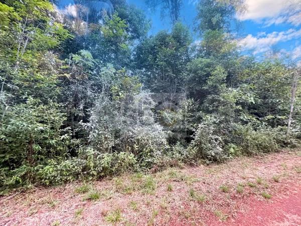 OPPORTUNITÉ RARE – TERRAIN PIEDS DANS L'EAU SECTEUR COMTÉ