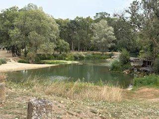 Maison de caractère en pierre de tuffeau
