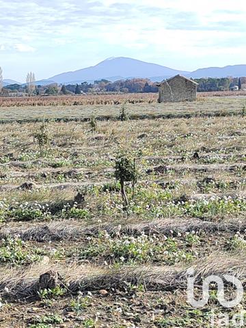 Terrain à vendre 4 952 m² Sainte-Cécile-les-Vignes
