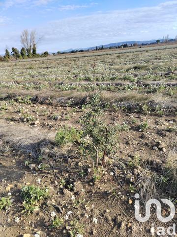 Terrain à vendre 4 952 m² Sainte-Cécile-les-Vignes