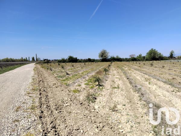 Terrain à vendre 4 952 m² Sainte-Cécile-les-Vignes