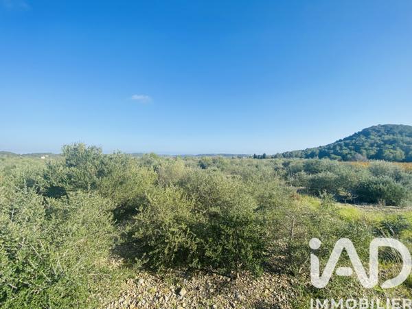 Terrain à vendre 4 910 m² Roquefort-des-Corbières