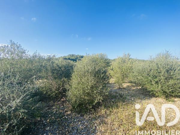 Terrain à vendre 4 910 m² Roquefort-des-Corbières