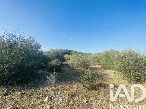 Terrain à vendre 4 910 m² Roquefort-des-Corbières