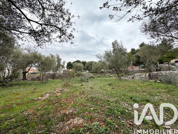 Terrain à vendre 840 m² Opoul-Périllos