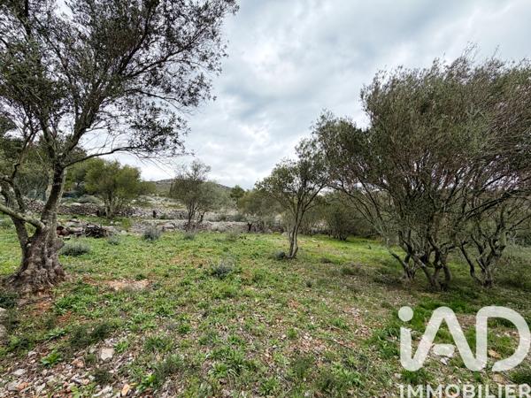 Terrain à vendre 840 m² Opoul-Périllos