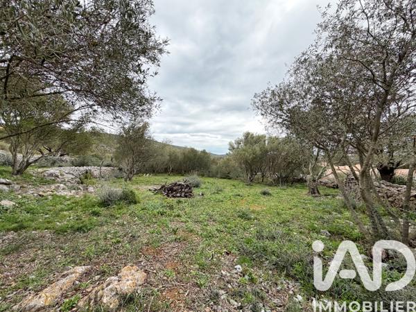 Terrain à vendre 840 m² Opoul-Périllos
