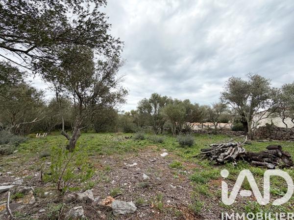 Terrain à vendre 840 m² Opoul-Périllos