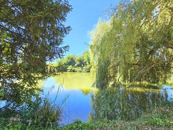 Lédat (47300) MAGNIFIQUE GRANDE FERME 31 HECTARES VUE DOMINANTE ET LAC - NOMBREUSES DÉPENDANCES REDESTINABLES