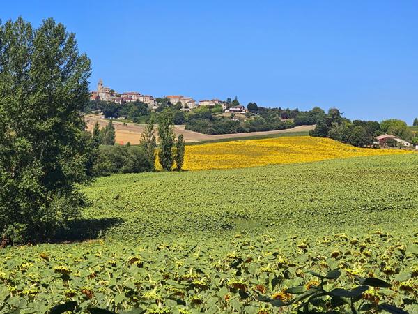Lédat (47300) MAGNIFIQUE GRANDE FERME 31 HECTARES VUE DOMINANTE ET LAC - NOMBREUSES DÉPENDANCES REDESTINABLES