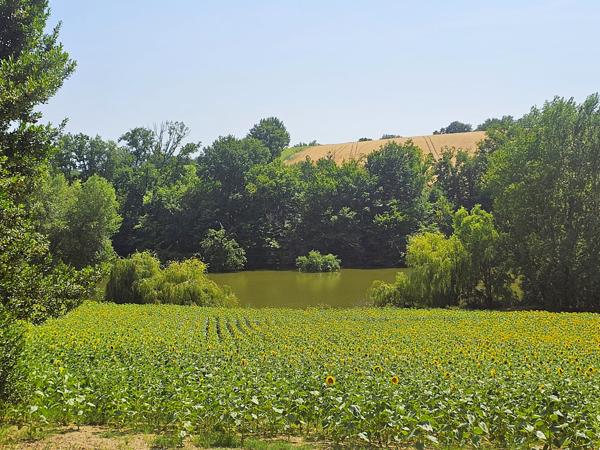 Lédat (47300) MAGNIFIQUE GRANDE FERME 31 HECTARES VUE DOMINANTE ET LAC - NOMBREUSES DÉPENDANCES REDESTINABLES